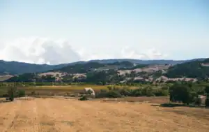 Why Spring Is the Best Time to Harden Your Home Against Wildfire